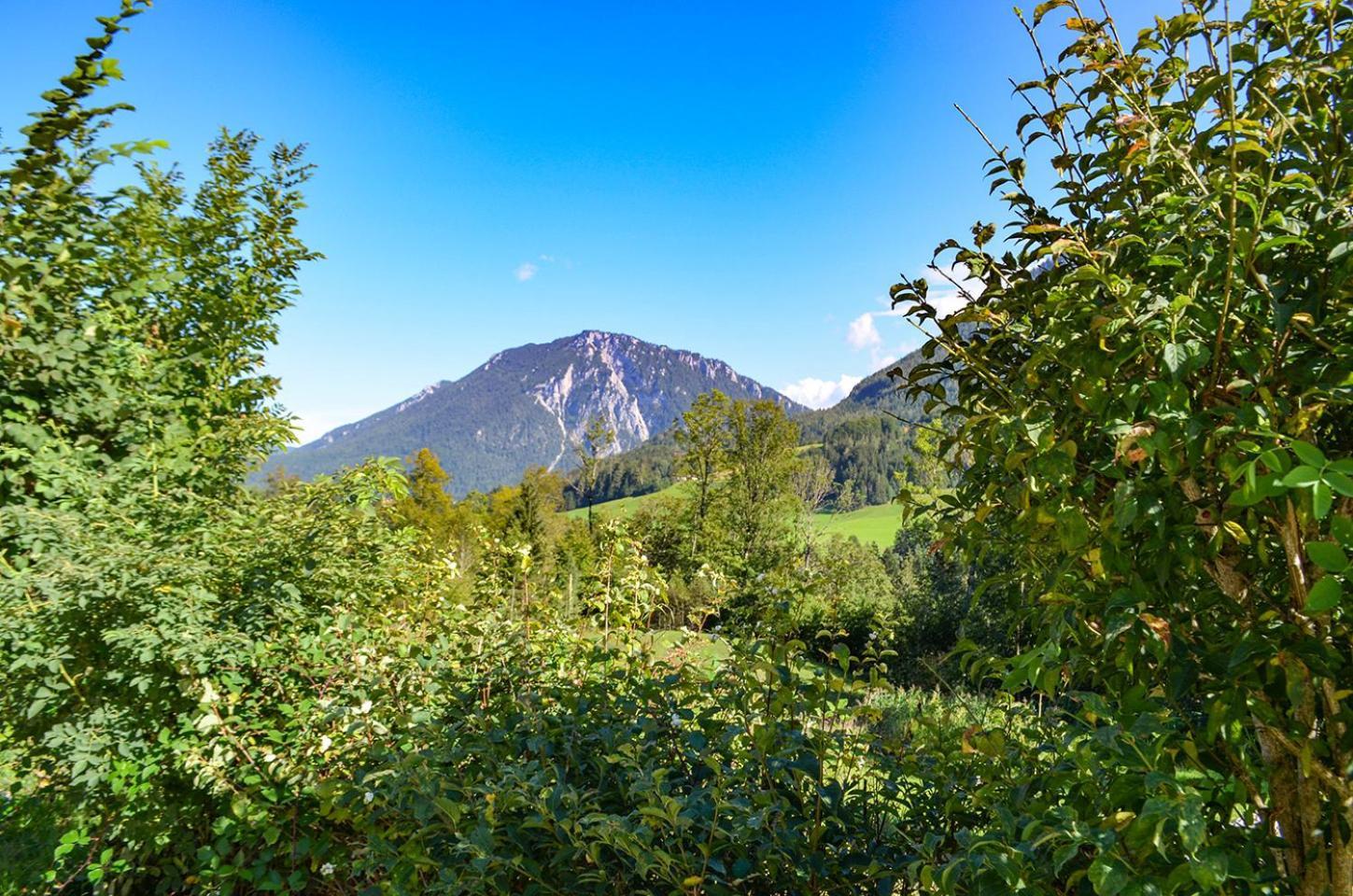 Almbauernhof Apartment Ruhpolding Luaran gambar